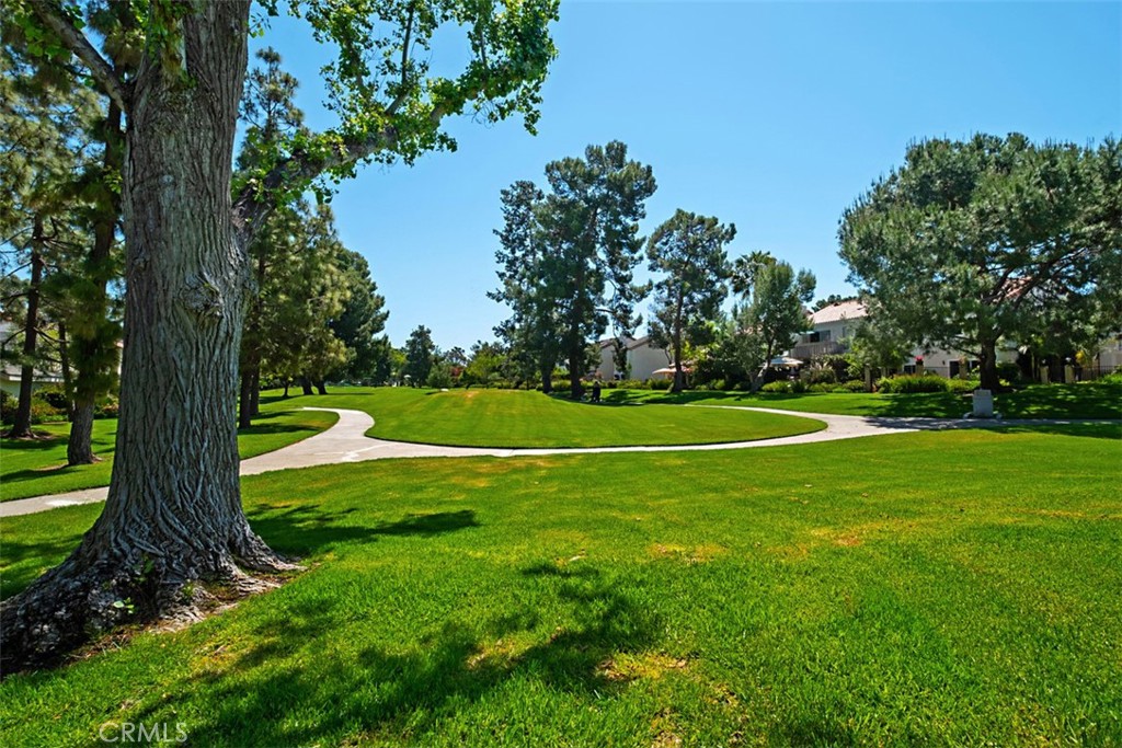 12 Redwood Tree Lane