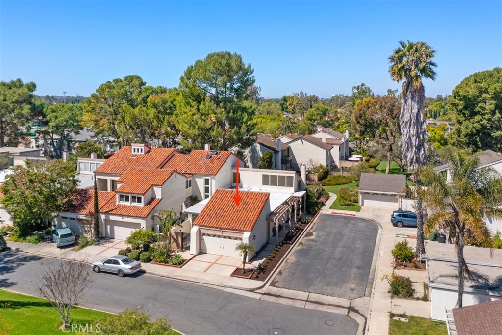 12 Redwood Tree Lane