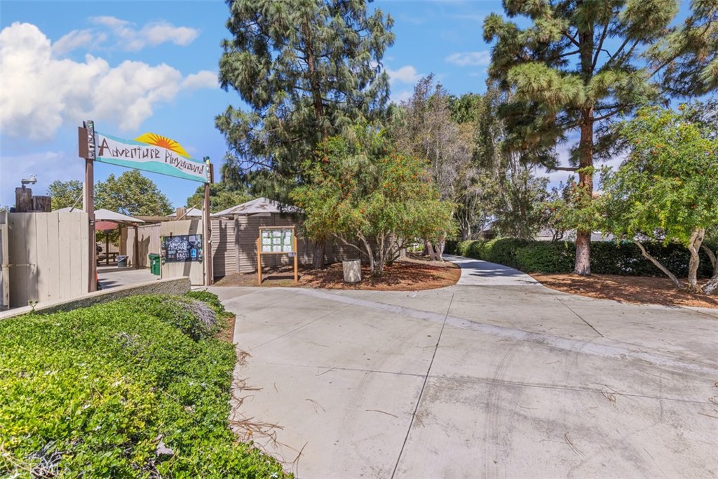 12 Redwood Tree Lane