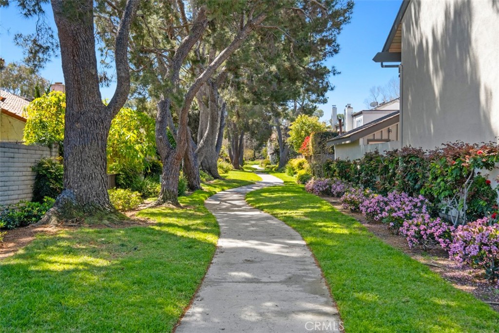 12 Redwood Tree Lane