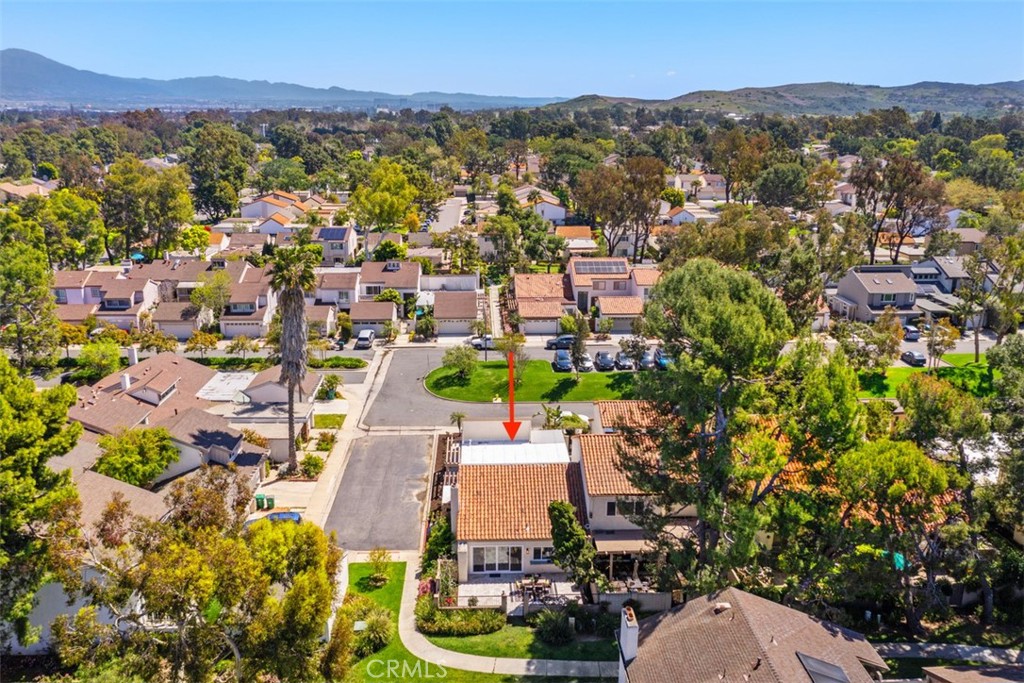 12 Redwood Tree Lane