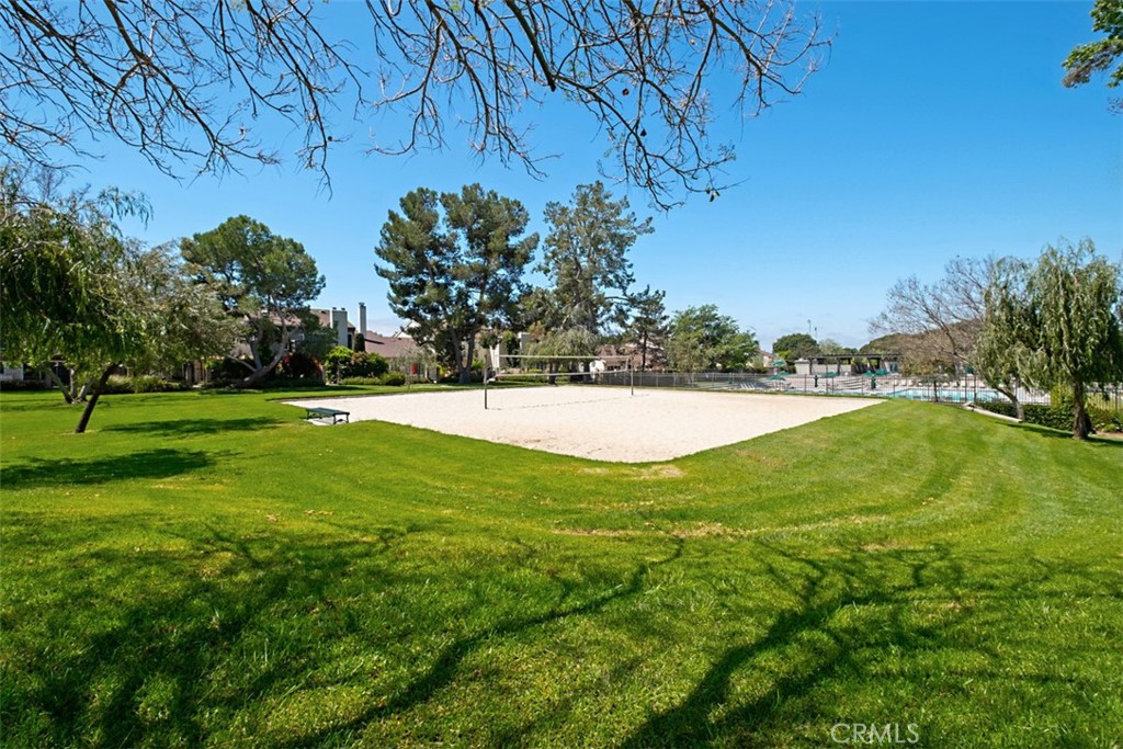 12 Redwood Tree Lane