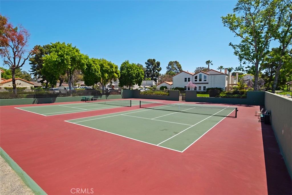 12 Redwood Tree Lane