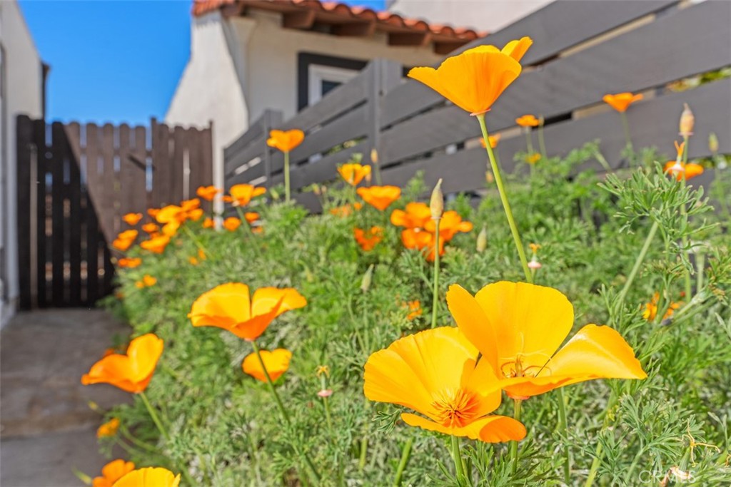 26665 Calle El Sauzal