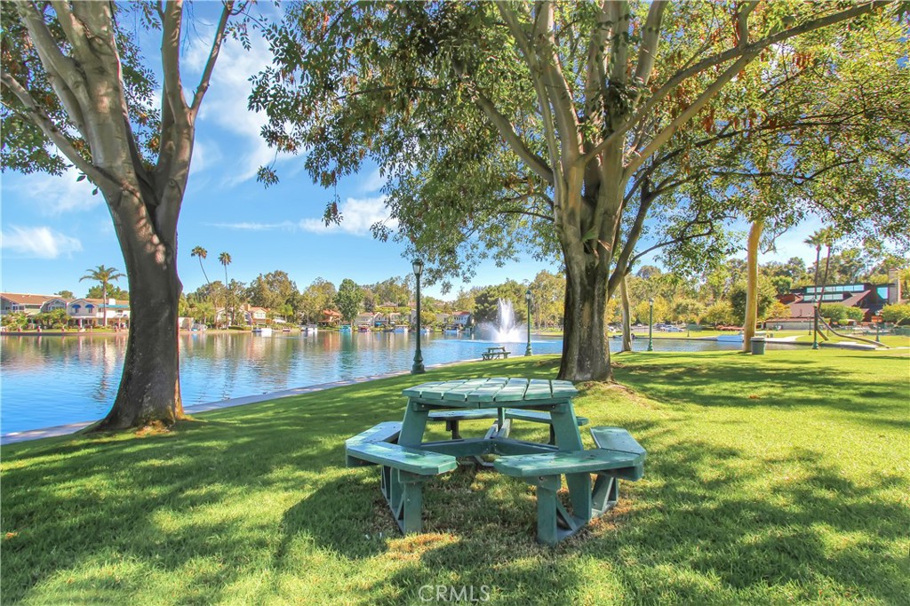 22345 Blueberry Lane