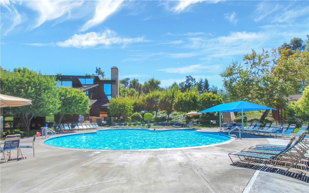 22345 Blueberry Lane