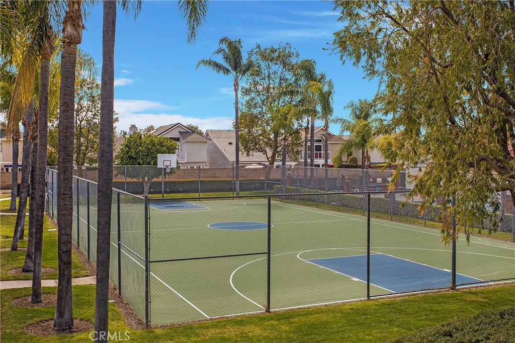 22345 Blueberry Lane