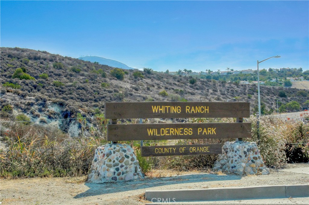 22345 Blueberry Lane