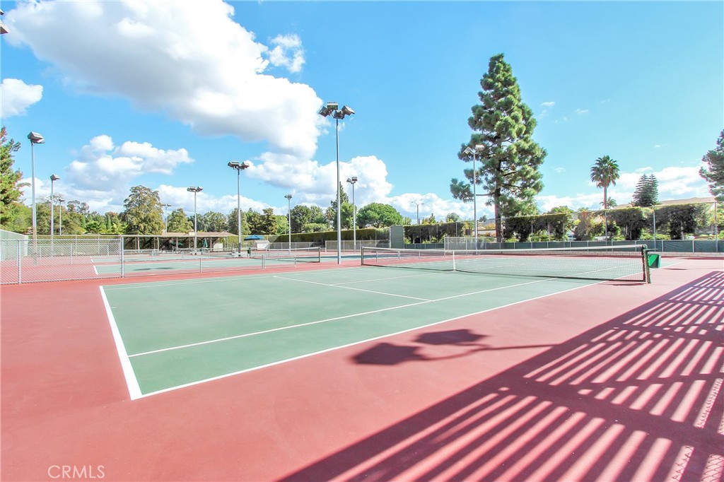 22345 Blueberry Lane