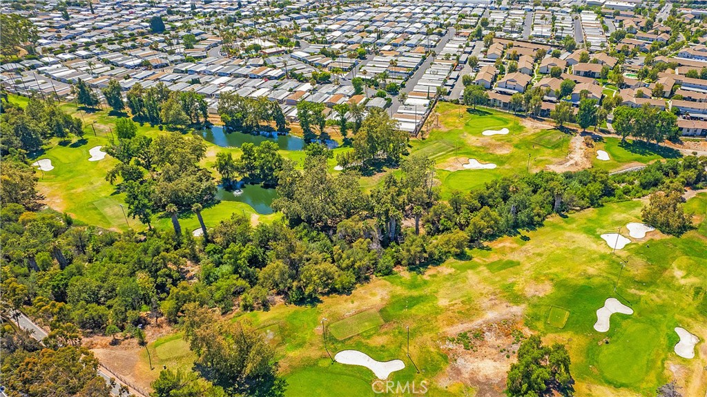 22345 Blueberry Lane