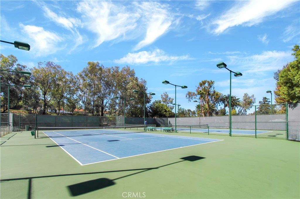 22345 Blueberry Lane