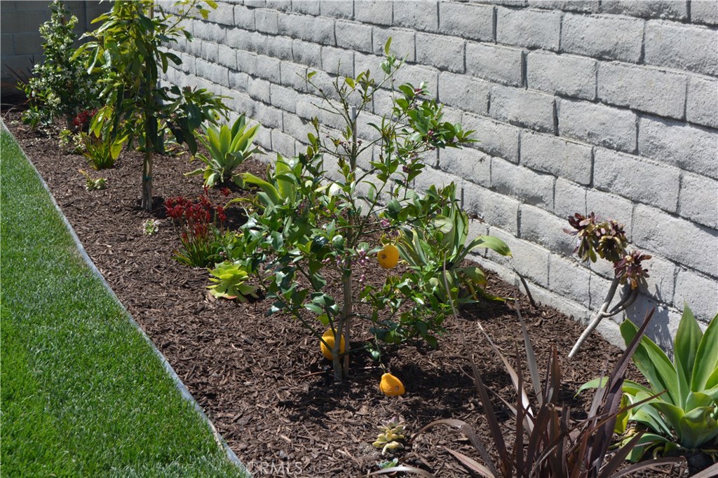 17161 Kristopher Lane