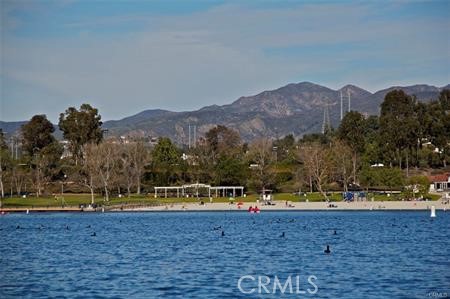 265 California Court