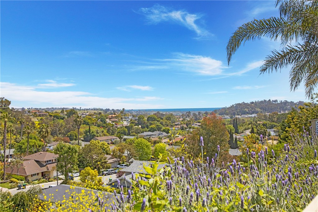 24222 Las Naranjas Drive