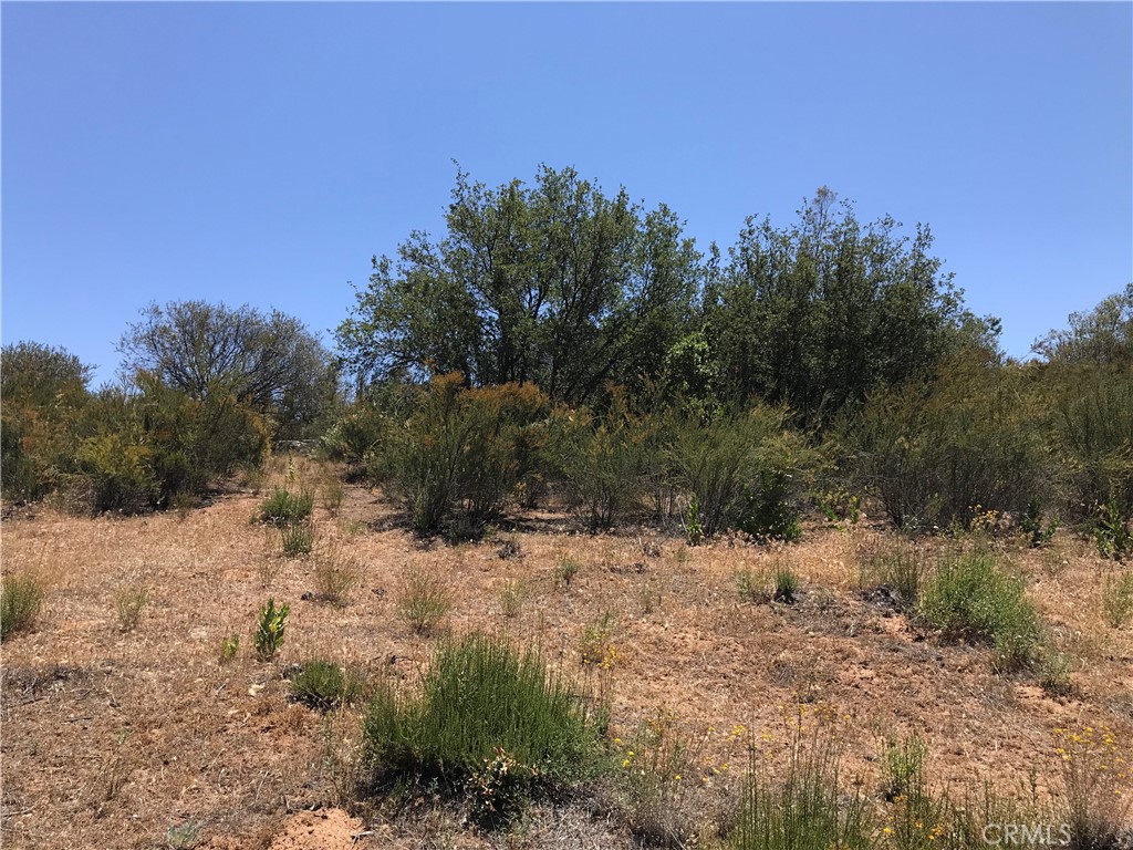 0 Calle De Companero