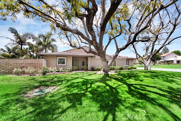10738 Camino Real