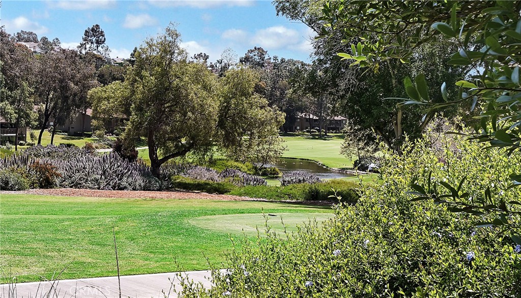 31236 W Nine Drive 7RF