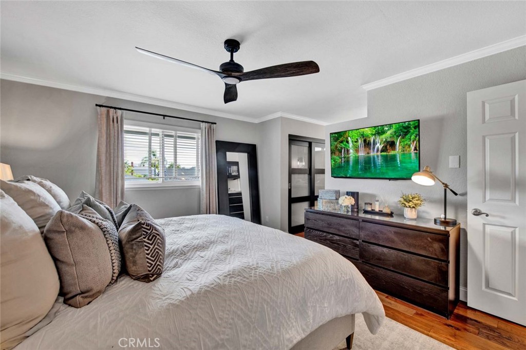 17157 Buttonwood