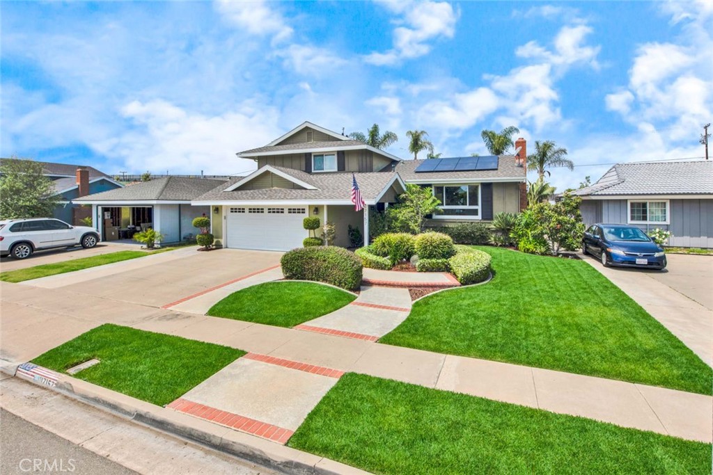 17157 Buttonwood