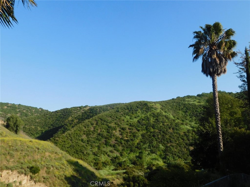 5700 Carbon Canyon 106