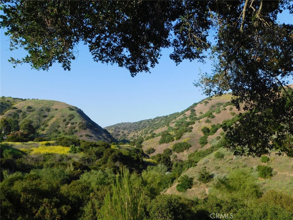 5700 Carbon Canyon 106