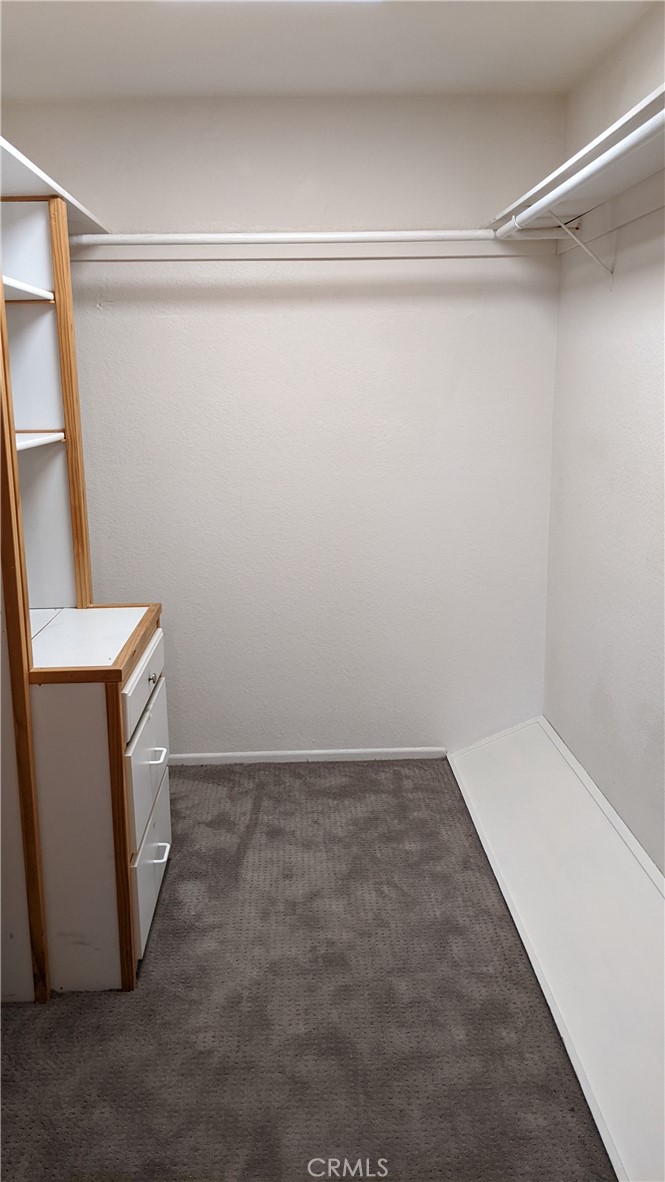 22622 Wood Shadow Lane