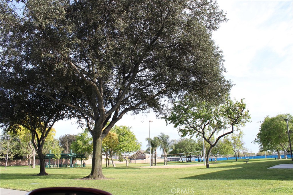 6288 Pitcairn Street