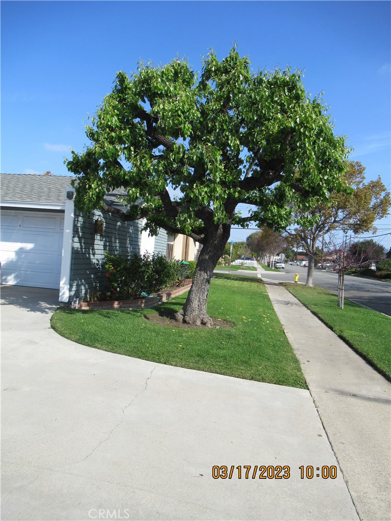 314 Pacific Street