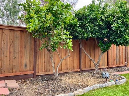 19351 Sierra Perla Road