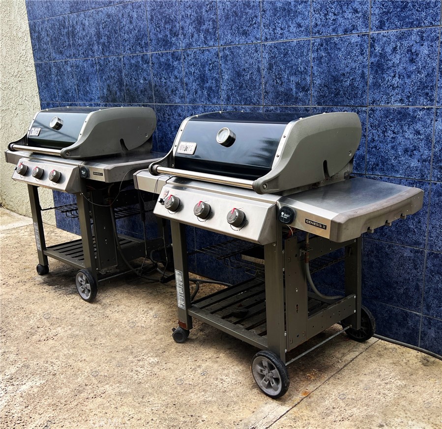 25056 Silverleaf Lane