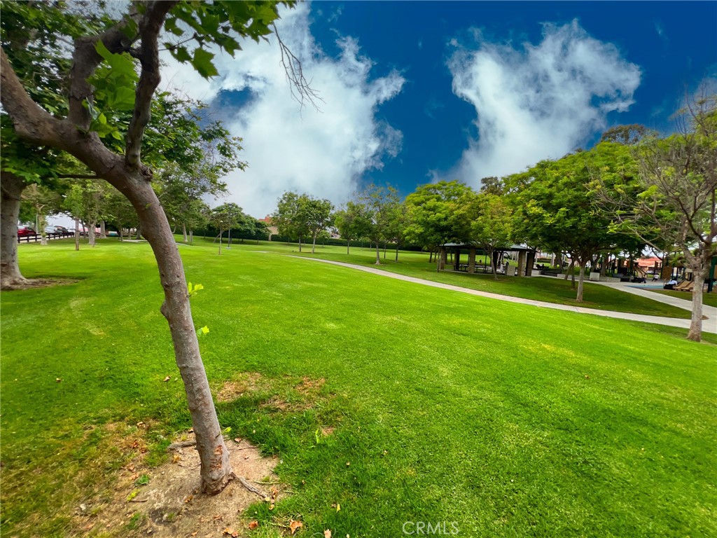 25056 Silverleaf Lane