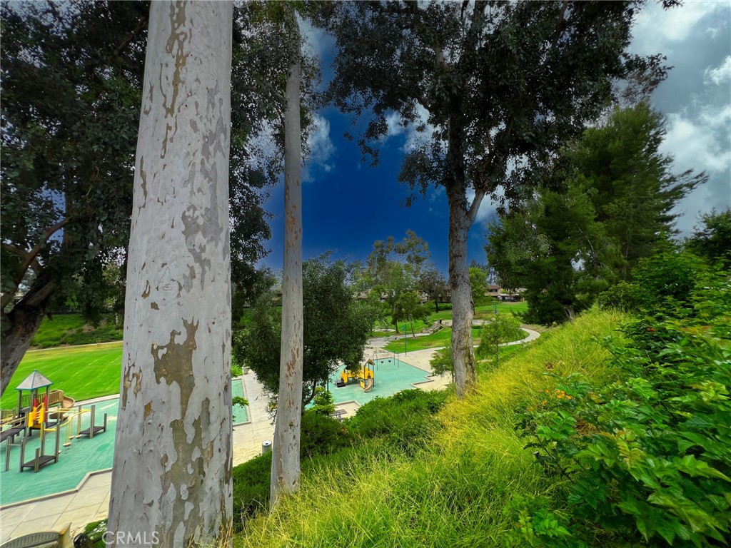 25056 Silverleaf Lane