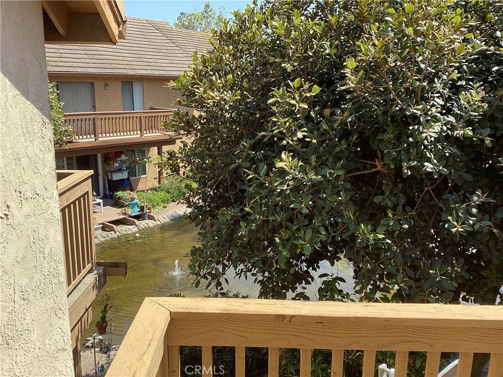 343 Orange Blossom 149