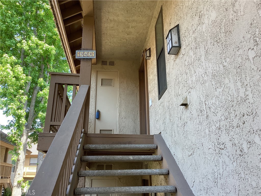 343 Orange Blossom 149