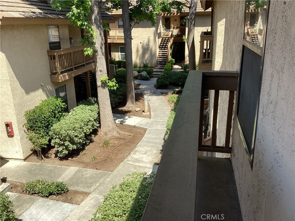 343 Orange Blossom 149