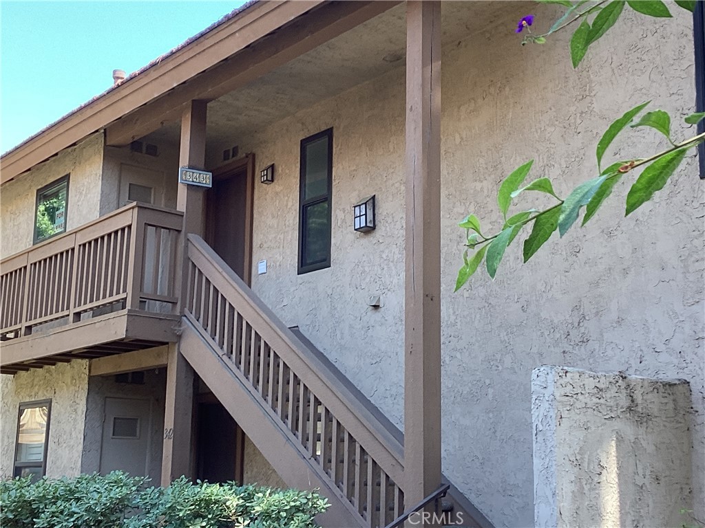 343 Orange Blossom 149