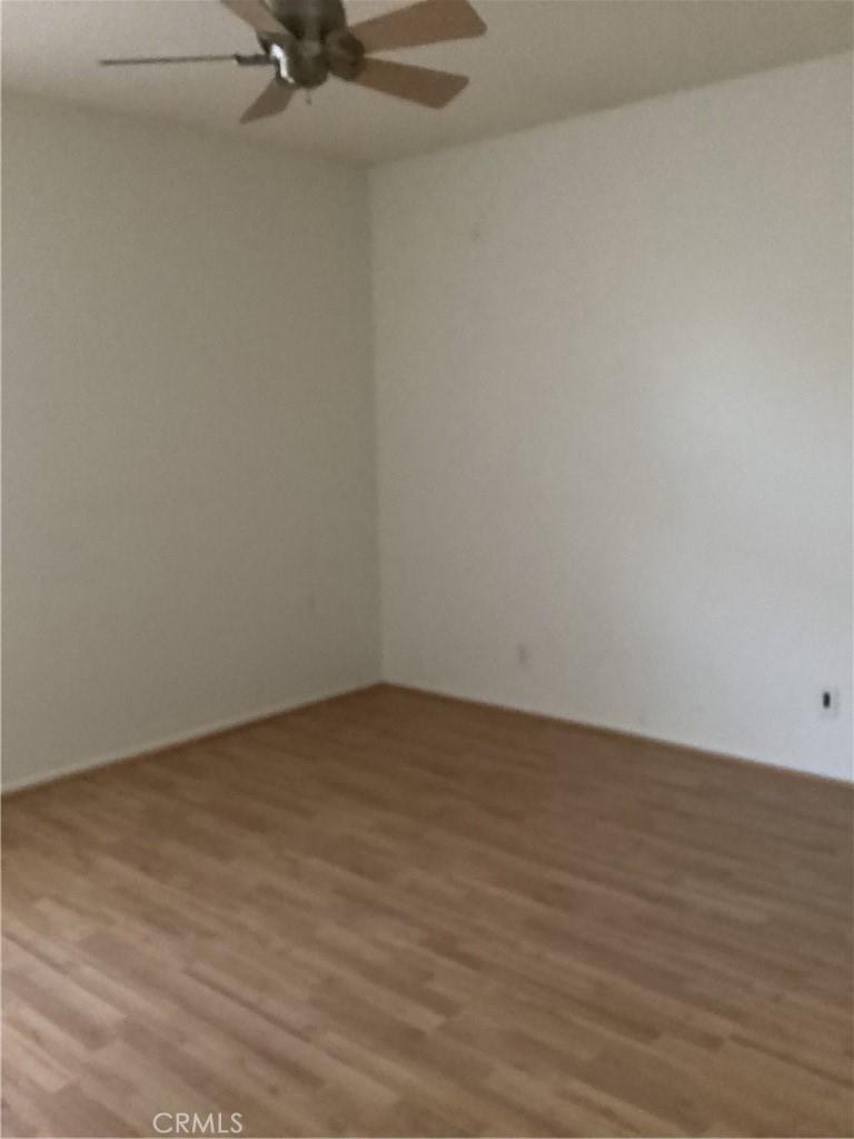 343 Orange Blossom 149