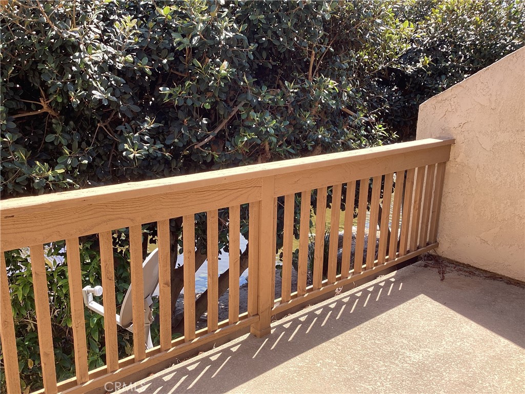 343 Orange Blossom 149