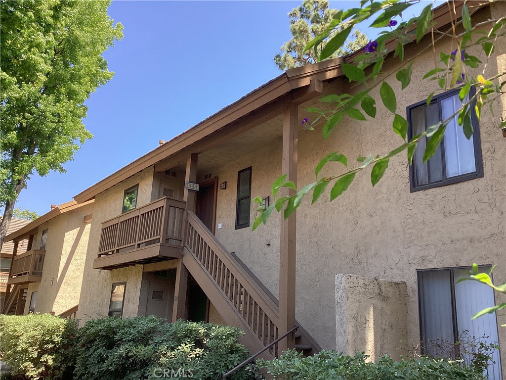 343 Orange Blossom 149