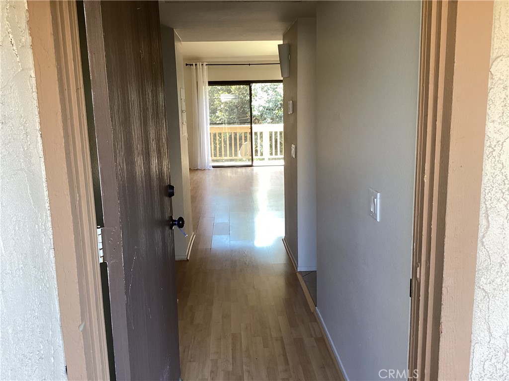 343 Orange Blossom 149