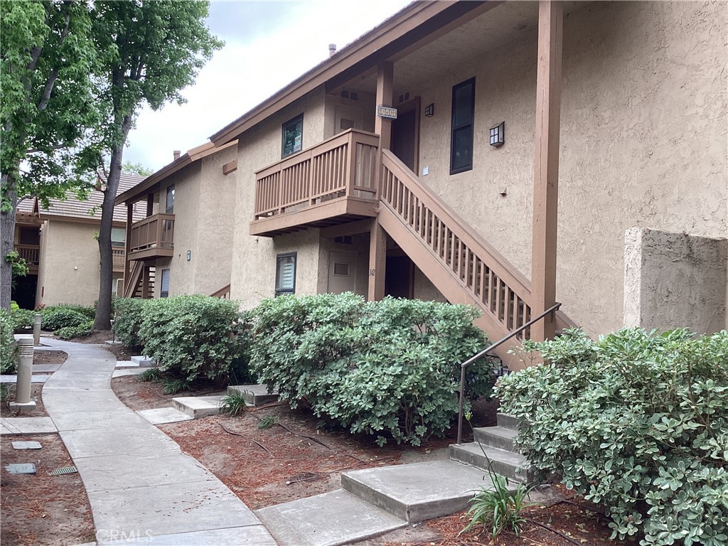 343 Orange Blossom 149