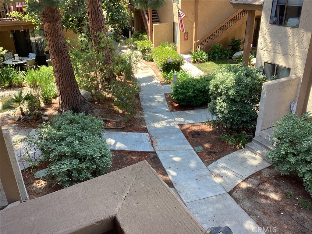 343 Orange Blossom 149