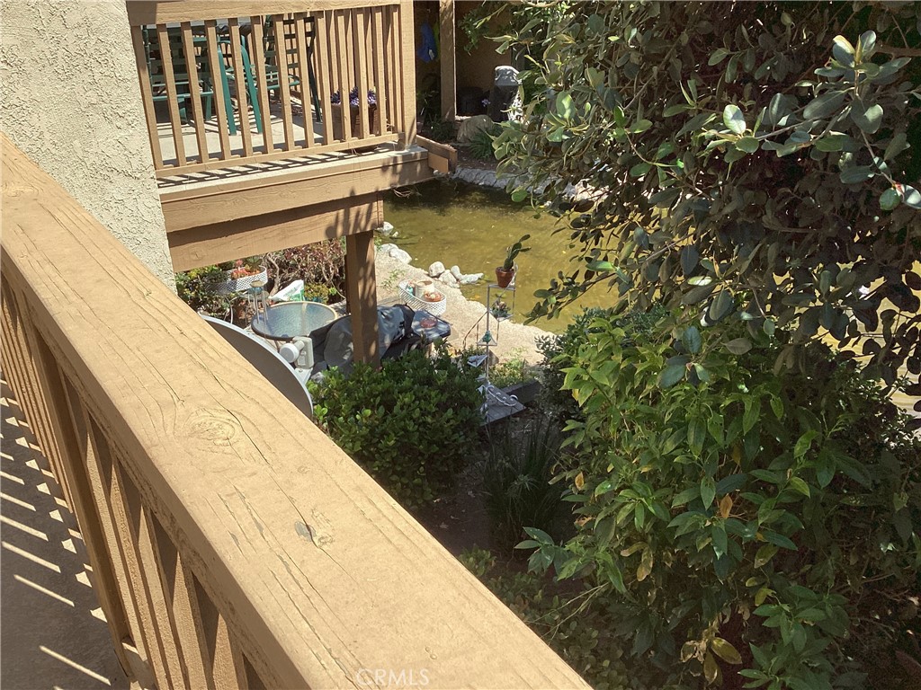 343 Orange Blossom 149