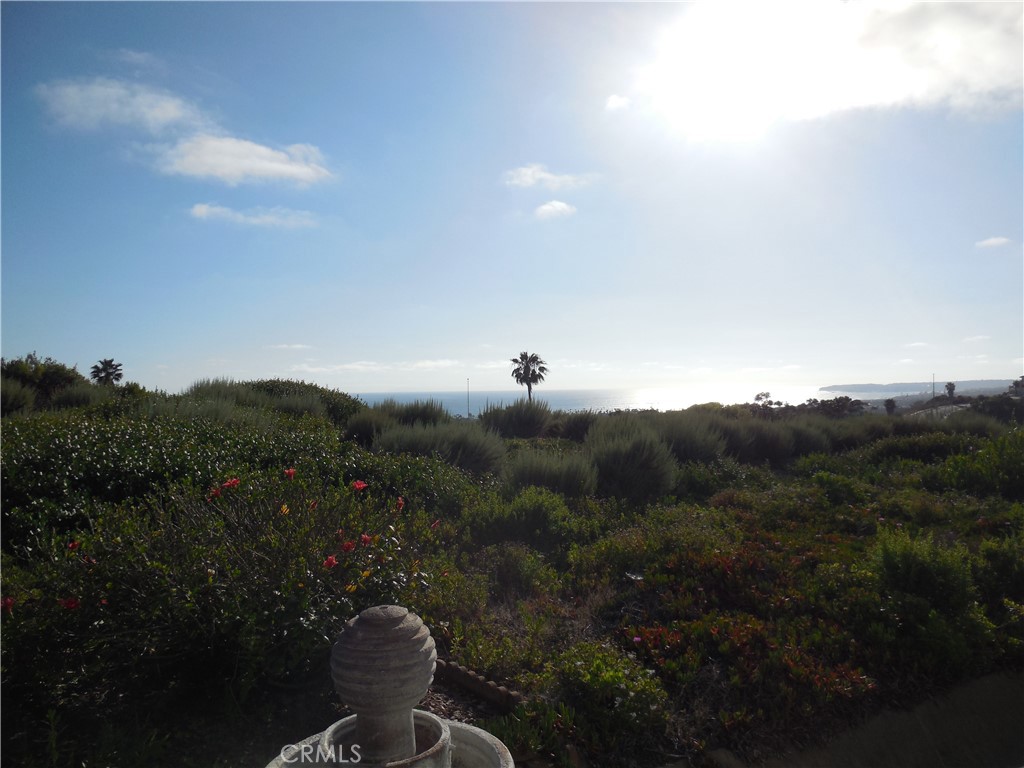 120 Avenida Presidio 14