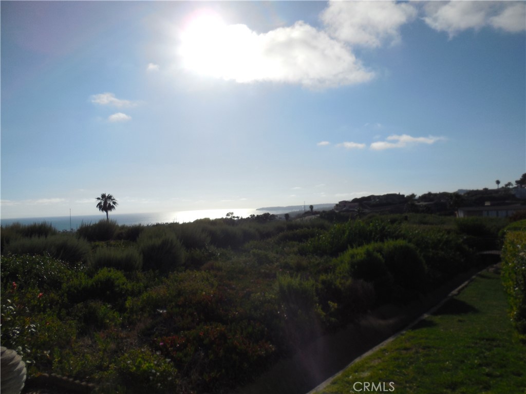 120 Avenida Presidio 14