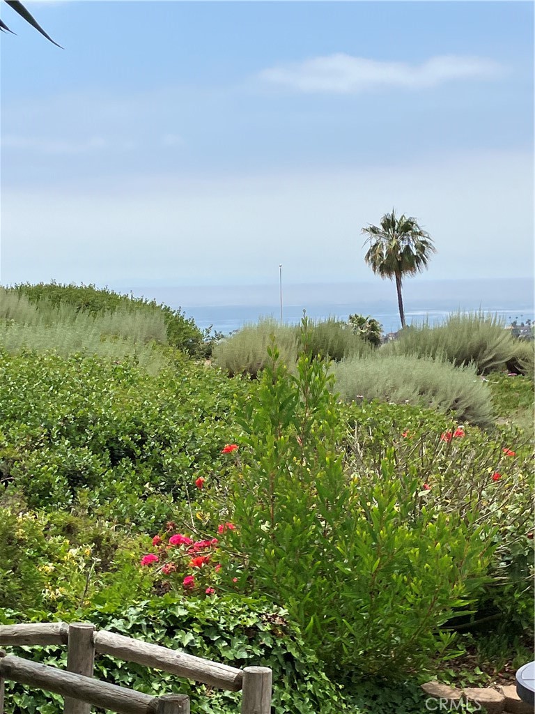 120 Avenida Presidio 14