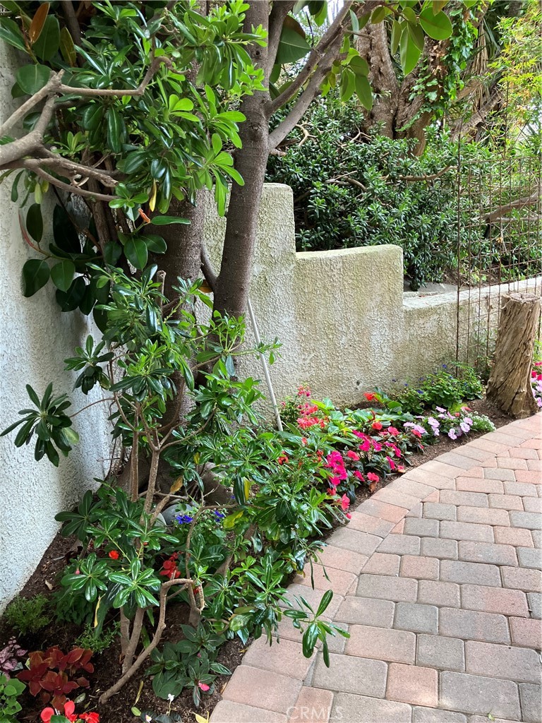 120 Avenida Presidio 14