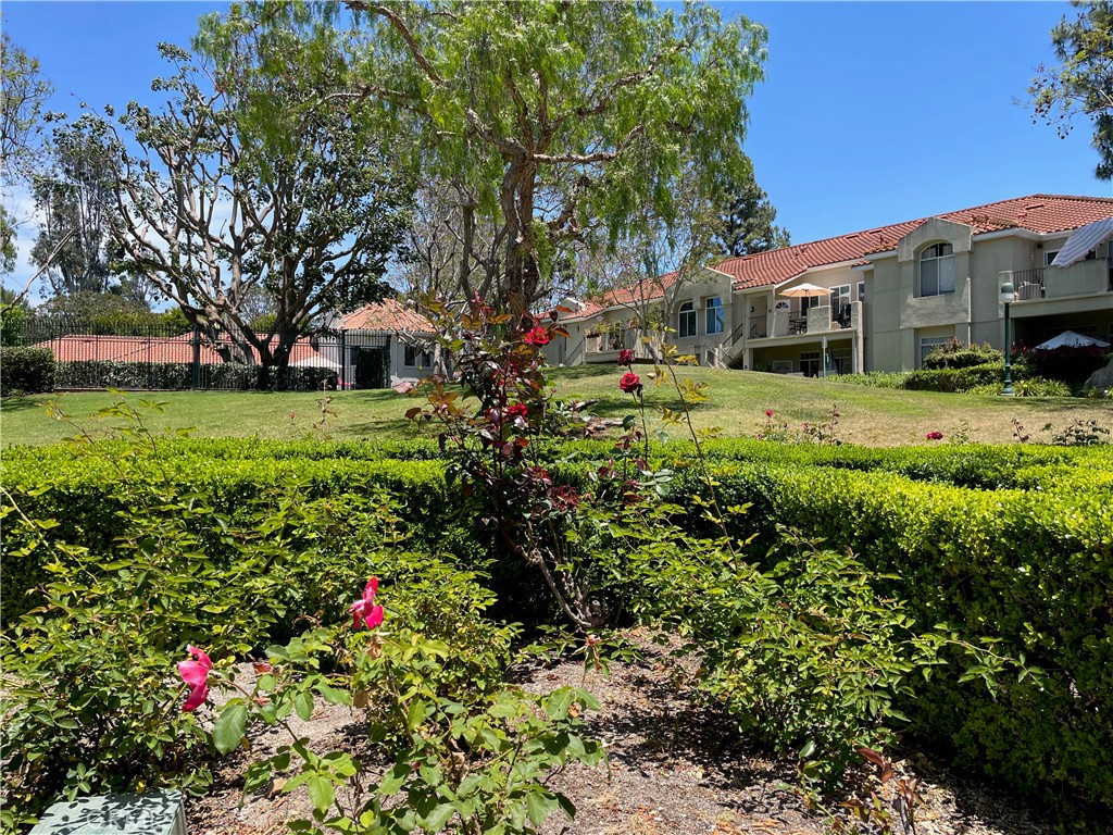 11 Whippoorwill Lane