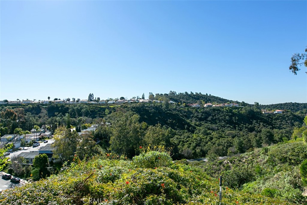 21876 Mirador 26