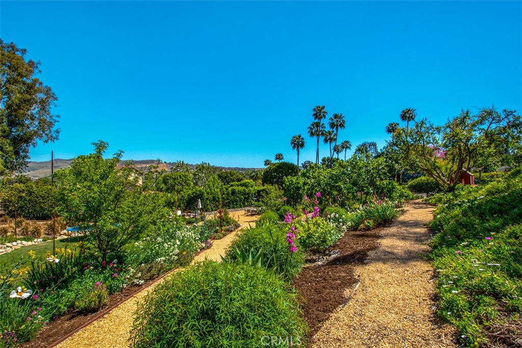 25731 Paseo De La Paz